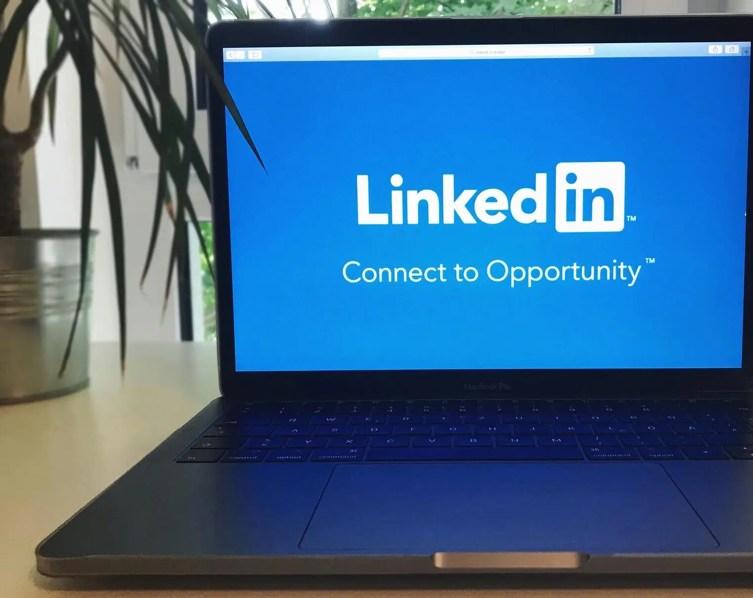 LinkedIn para Estagiários: como construir um perfil que abre portas na Tecnologia